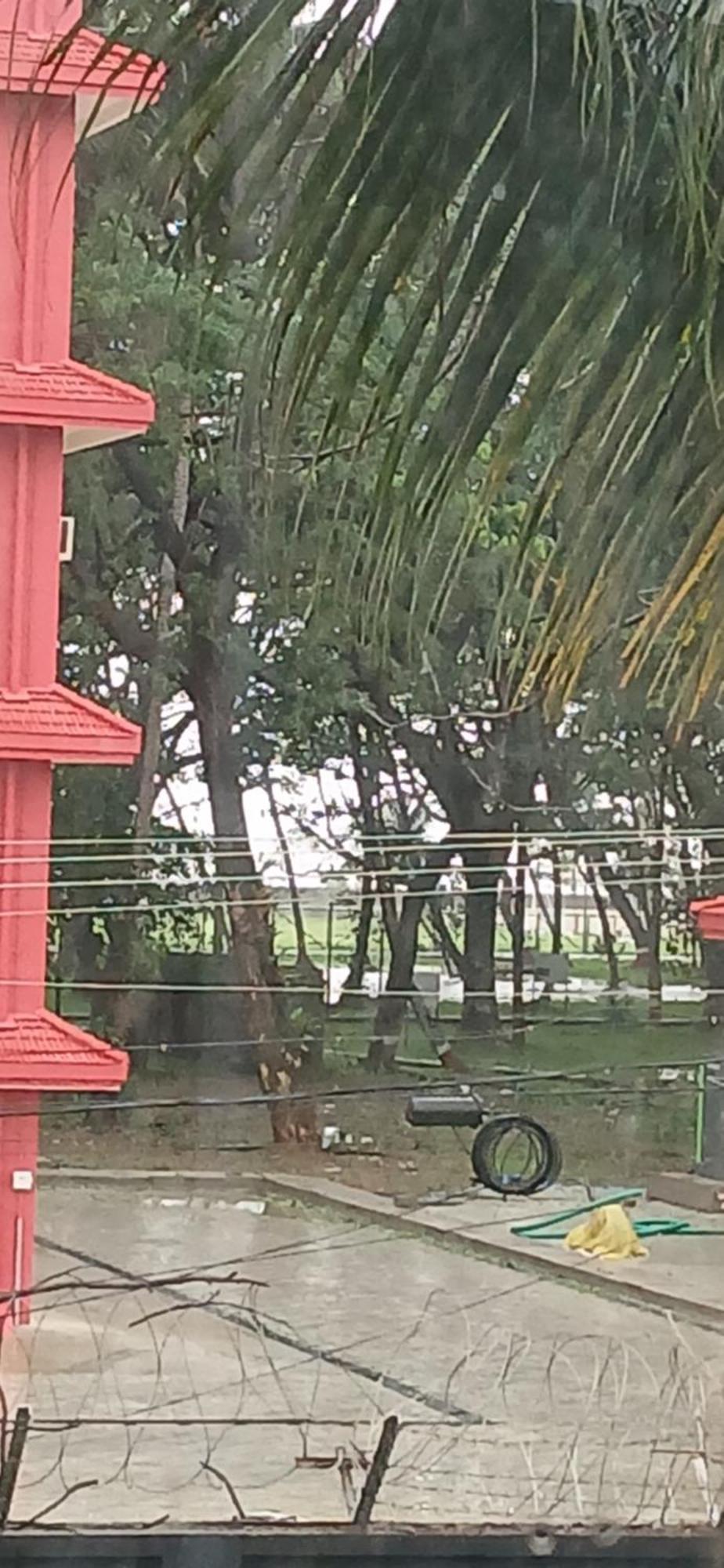 Annies Inn Homestay Kochi Luaran gambar